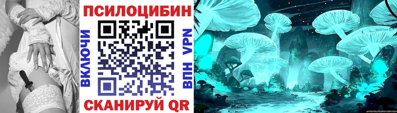 Галлюциногенные грибы Psilocybine cubensis  маркетплейс наркотические препараты  Копейск  где можно купить  