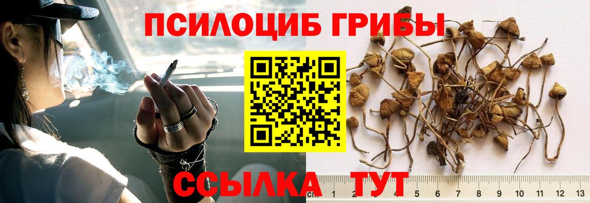 Псилоцибиновые грибы MAGIC MUSHROOMS  Вход с VPN  Копейск 